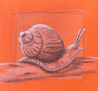 Anita Winterhagen-Knell - Gartenbewohner I - Schnecke